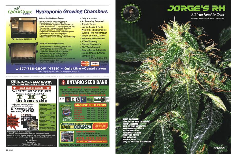 JORGE'S RX