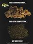 Page: - 47 | High Times