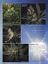 Page: - 50 | High Times
