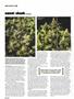 Page: - 82 | High Times