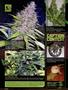 Page: - 14 | High Times