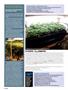 Page: - 60 | High Times