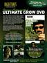 Page: - 62 | High Times