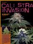 Page: - 78 | High Times
