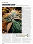 Page: - 82 | High Times