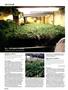Page: - 88 | High Times