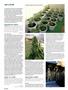 Page: - 90 | High Times