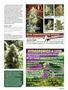 Page: - 93 | High Times