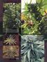 Page: - 13 | High Times