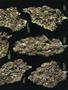 Page: - 53 | High Times