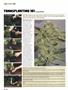Page: - 82 | High Times