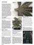 Page: - 90 | High Times