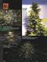 Page: - 12 | High Times