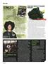 Page: - 20 | High Times