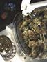 Page: - 52 | High Times