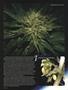Page: - 58 | High Times