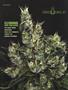 Page: - 77 | High Times