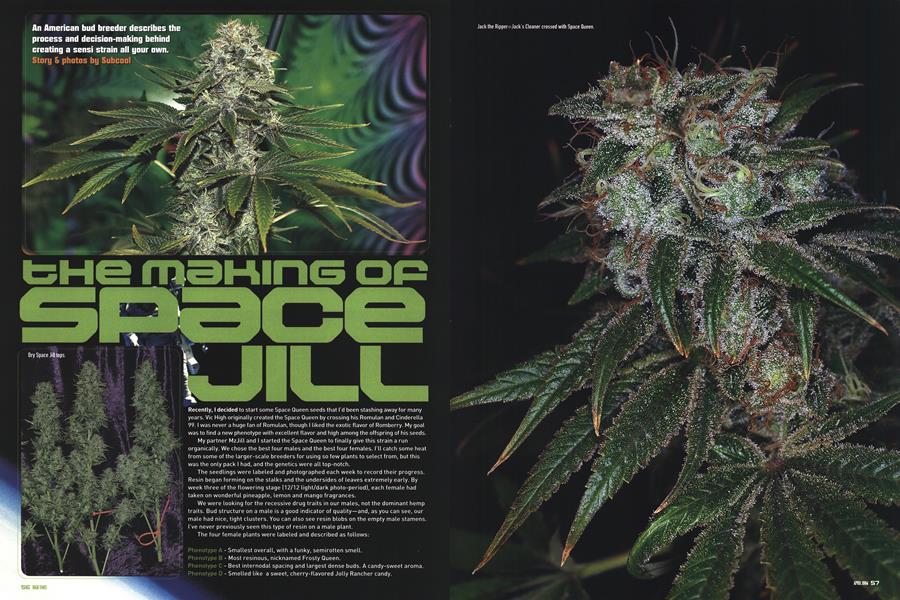 THE MAKING OF SPACE JILL