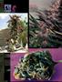 Page: - 12 | High Times