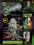 Page: - 14 | High Times