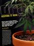 Page: - 44 | High Times