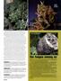 Page: - 46 | High Times