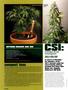 Page: - 50 | High Times