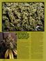 Page: - 56 | High Times