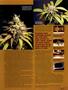Page: - 79 | High Times