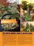 Page: - 80 | High Times