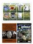 Page: - 83 | High Times