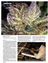 Page: - 88 | High Times