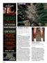 Page: - 92 | High Times