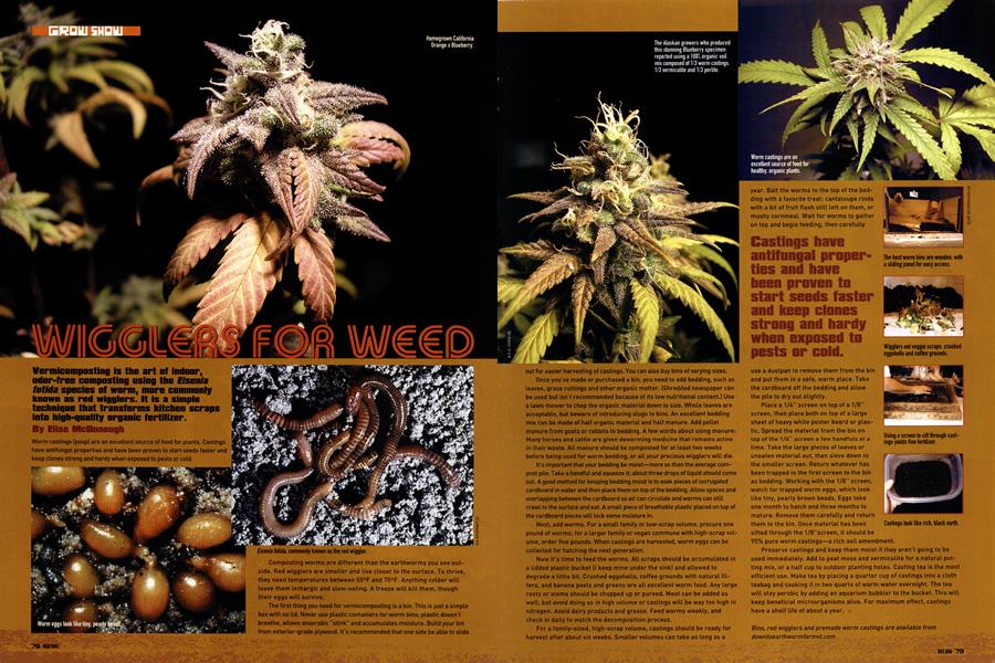 WIGGLERS FOR WEED