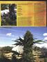 Page: - 49 | High Times