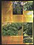 Page: - 55 | High Times