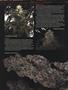 Page: - 77 | High Times