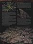 Page: - 78 | High Times