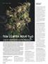 Page: - 80 | High Times
