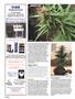 Page: - 92 | High Times