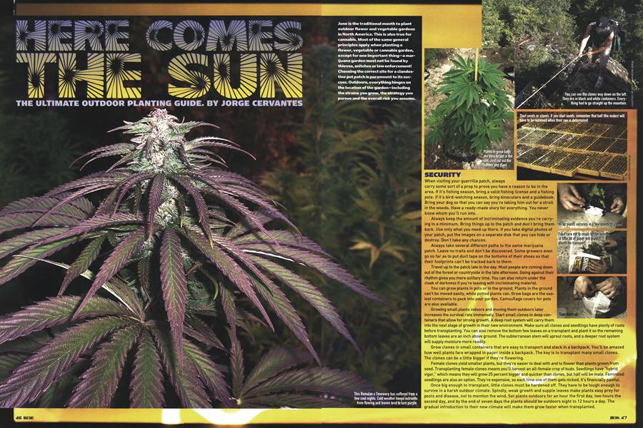 HERE COMES THE SUN