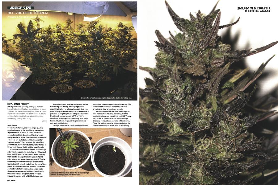 ALL YOU NEED TO GROW