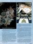 Page: - 39 | High Times