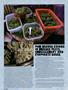 Page: - 40 | High Times