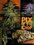 Page: - 72 | High Times