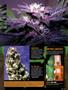 Page: - 73 | High Times