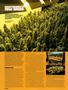 Page: - 76 | High Times