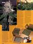 Page: - 78 | High Times