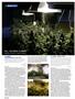 Page: - 88 | High Times