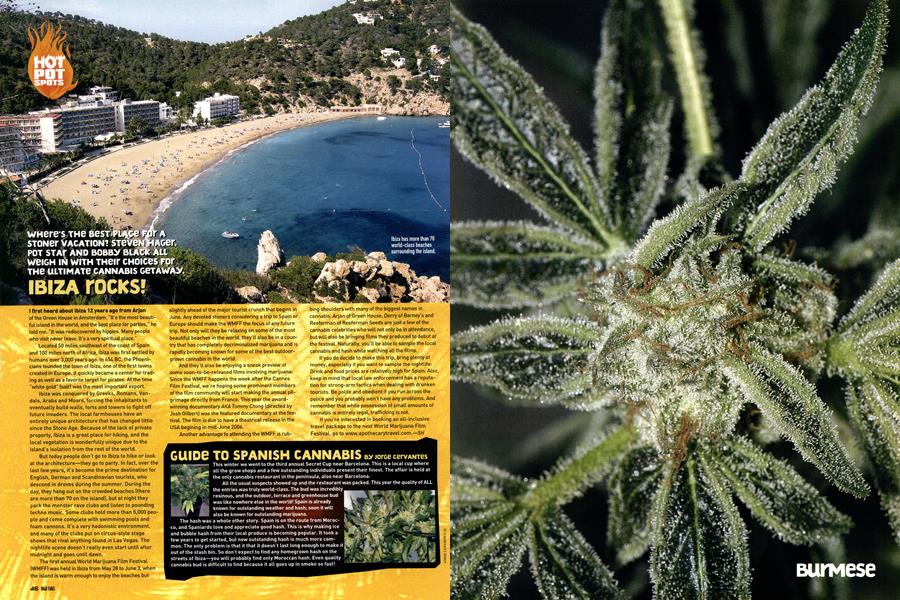 GUIDE TO SPANISH CANNABIS